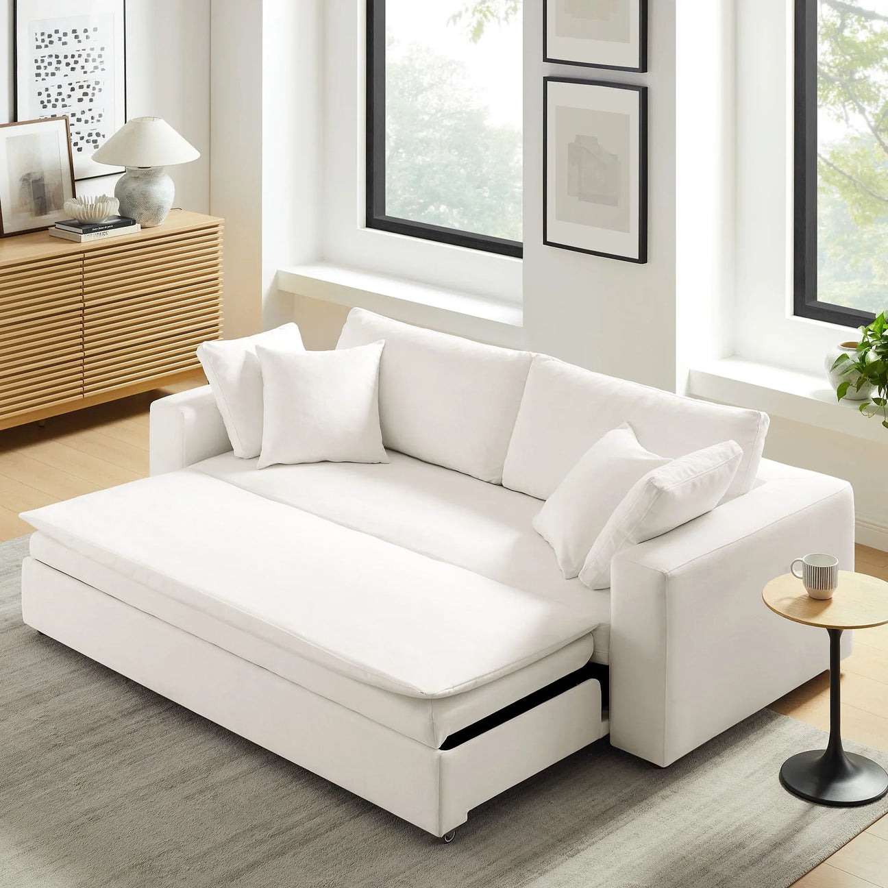 Sleeper Sofas