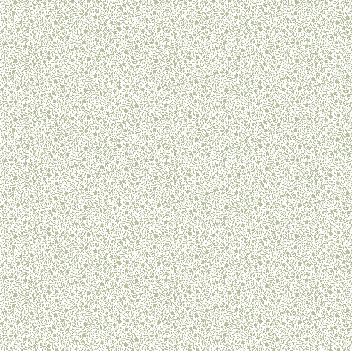 Galerie Little Explorers 2 Floral Wallpaper