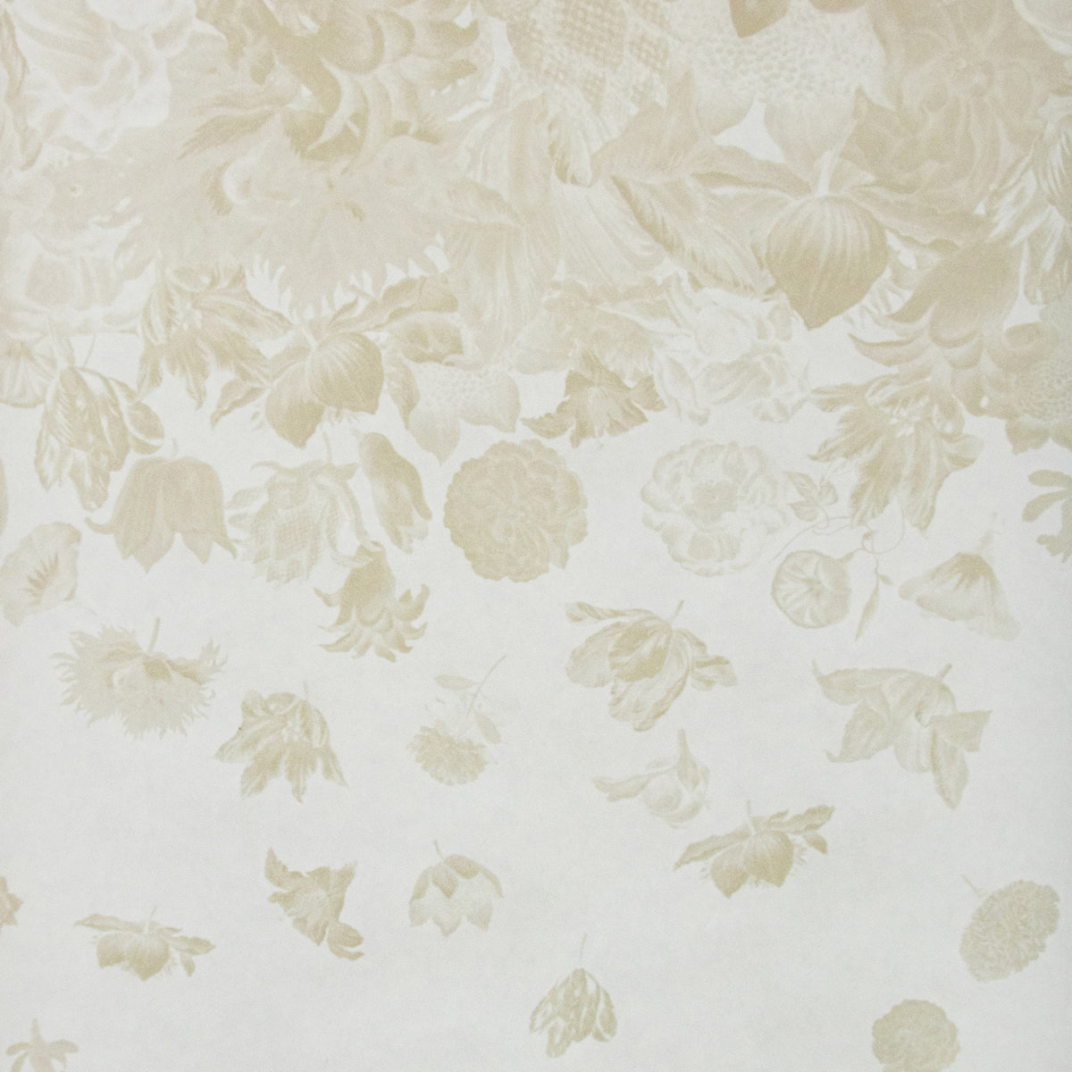 Galerie Tropical Flower Rain Wall Mural