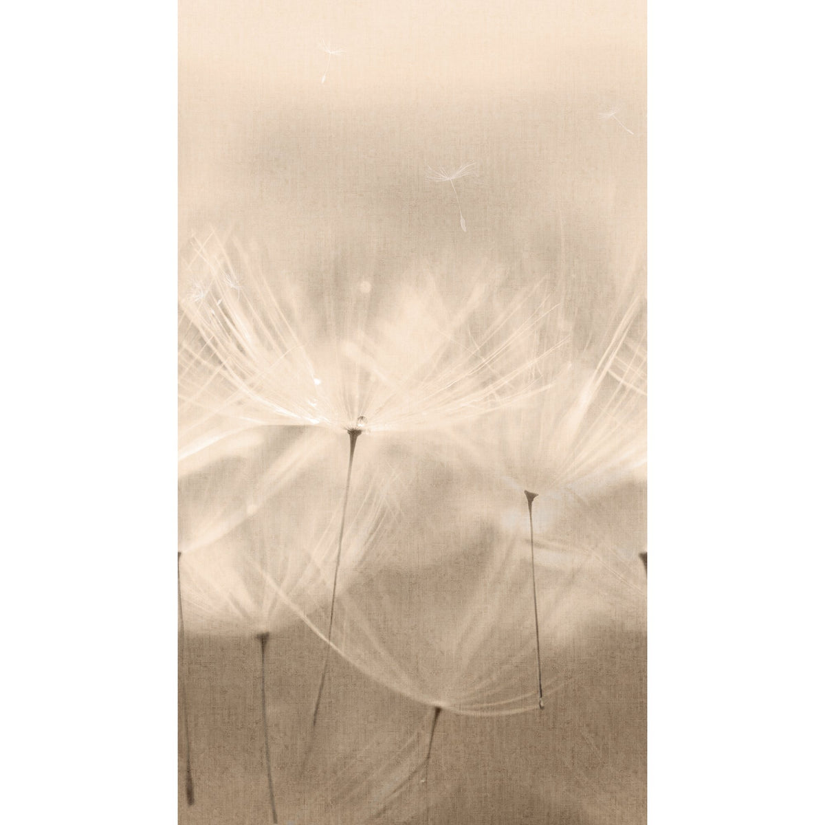 Galerie Orom II Stylish floral all-over Wall Mural