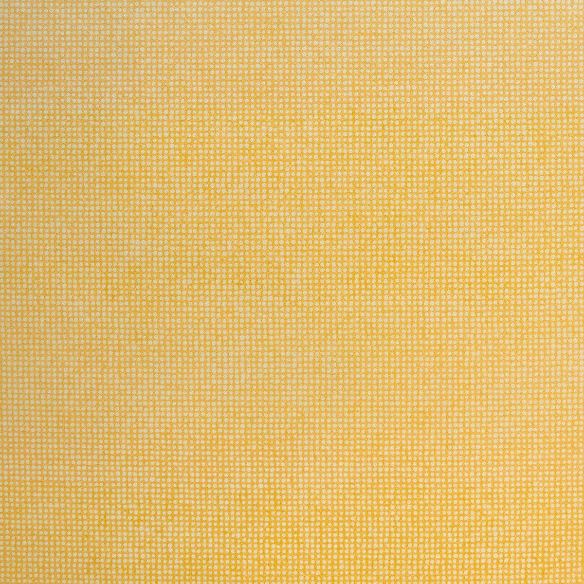 Galerie Great Kids Mini Dots Wallpaper