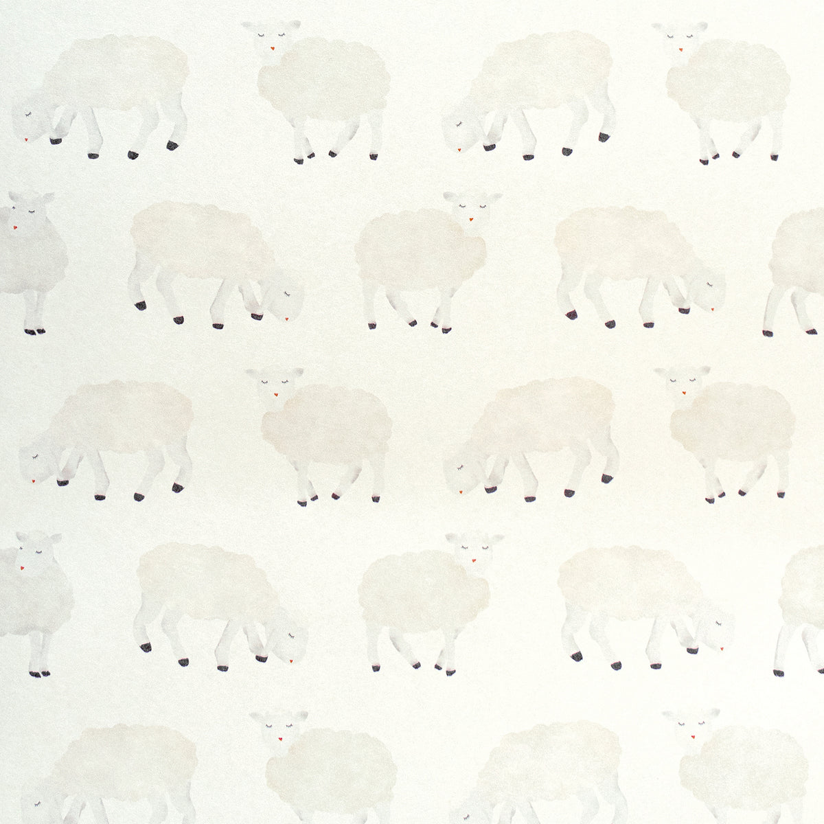 Galerie Great Kids Sweet Sheep Wallpaper