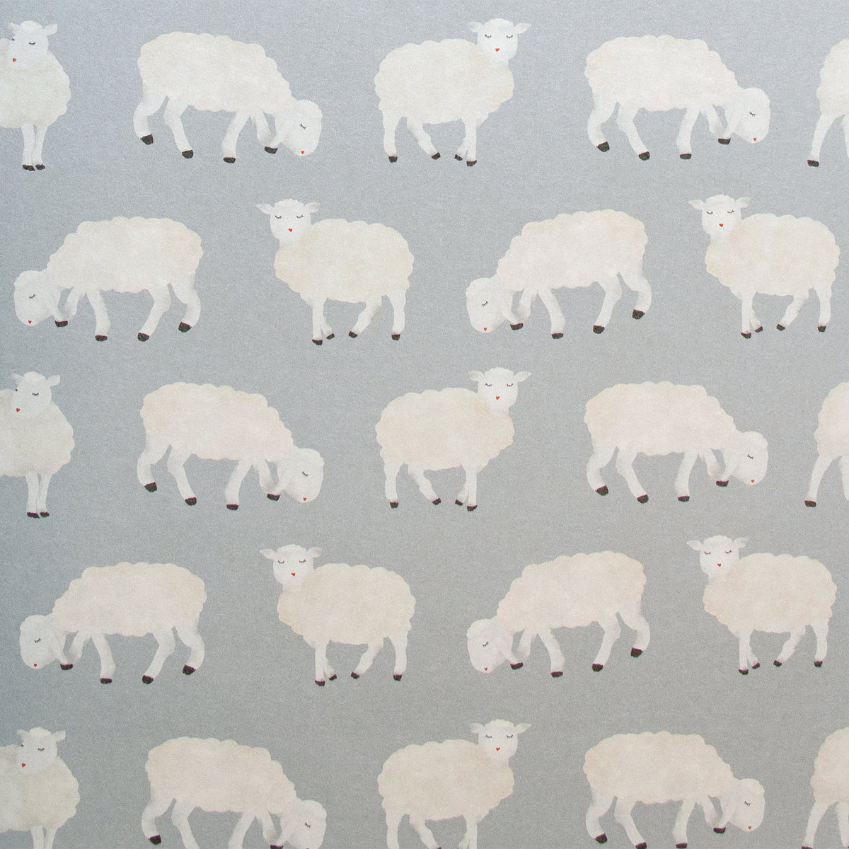 Galerie Great Kids Sweet Sheep Wallpaper