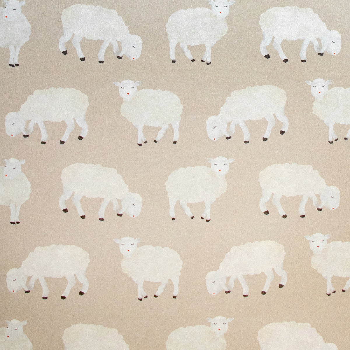 Galerie Great Kids Sweet Sheep Wallpaper