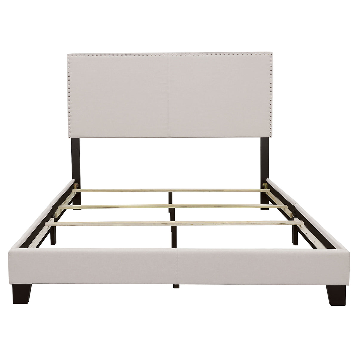 Boyd Upholstered Panel Bed with Chrome Nailhead Trim – View 21