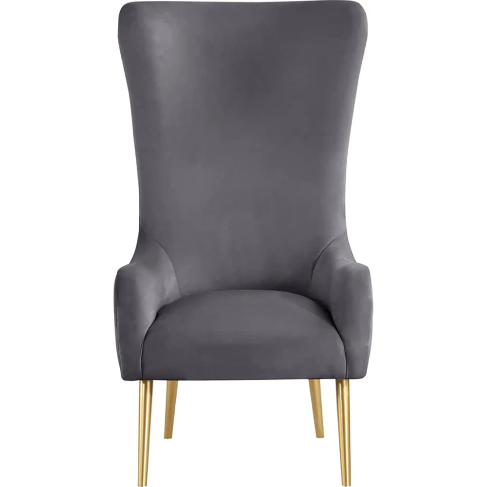 Venetian 50" High Back Tufted Velvet Accent Chair Wingback Lounge Armchair in Grey - angle view