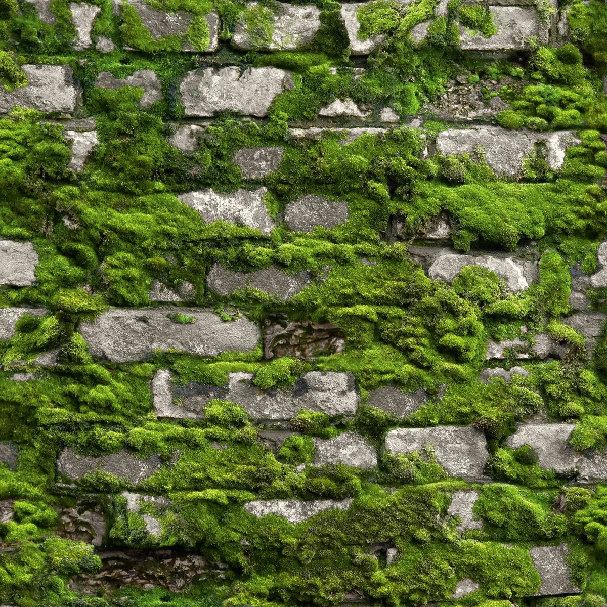 Galerie The Bricks And More Stone optic Wallpaper