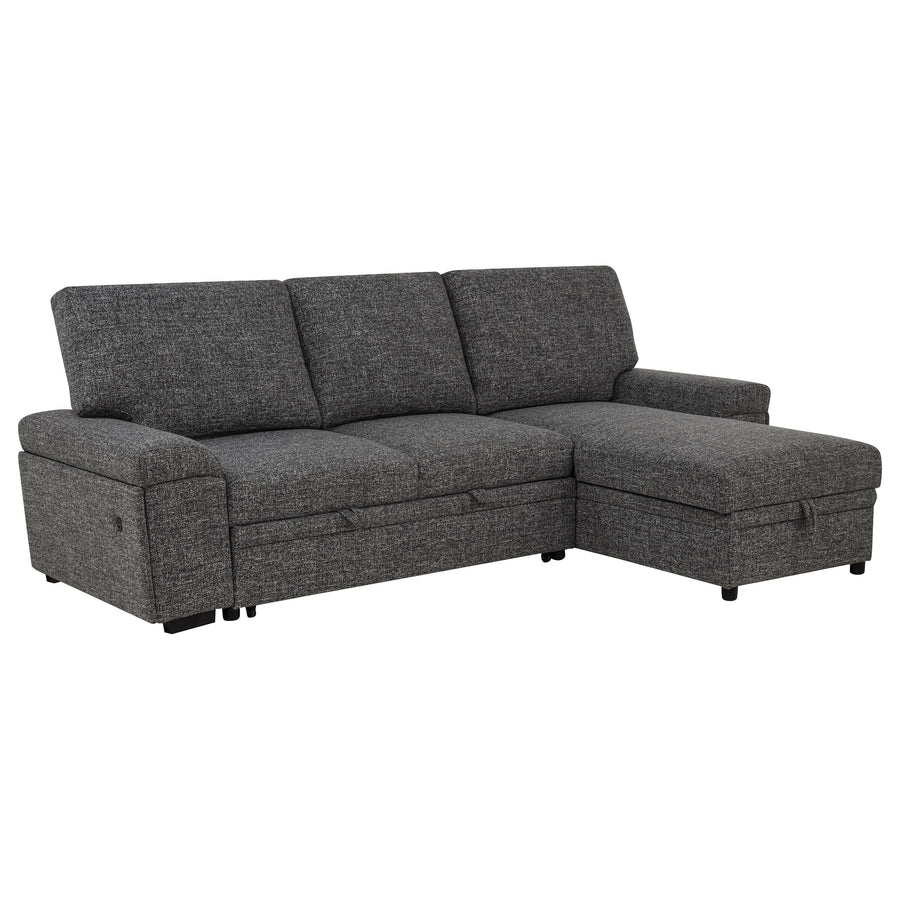 Demko Sleeper Sectional Sofa with Storage Chaise - Bluetooth Speakers, USB Charging & Cupholders in Granite
