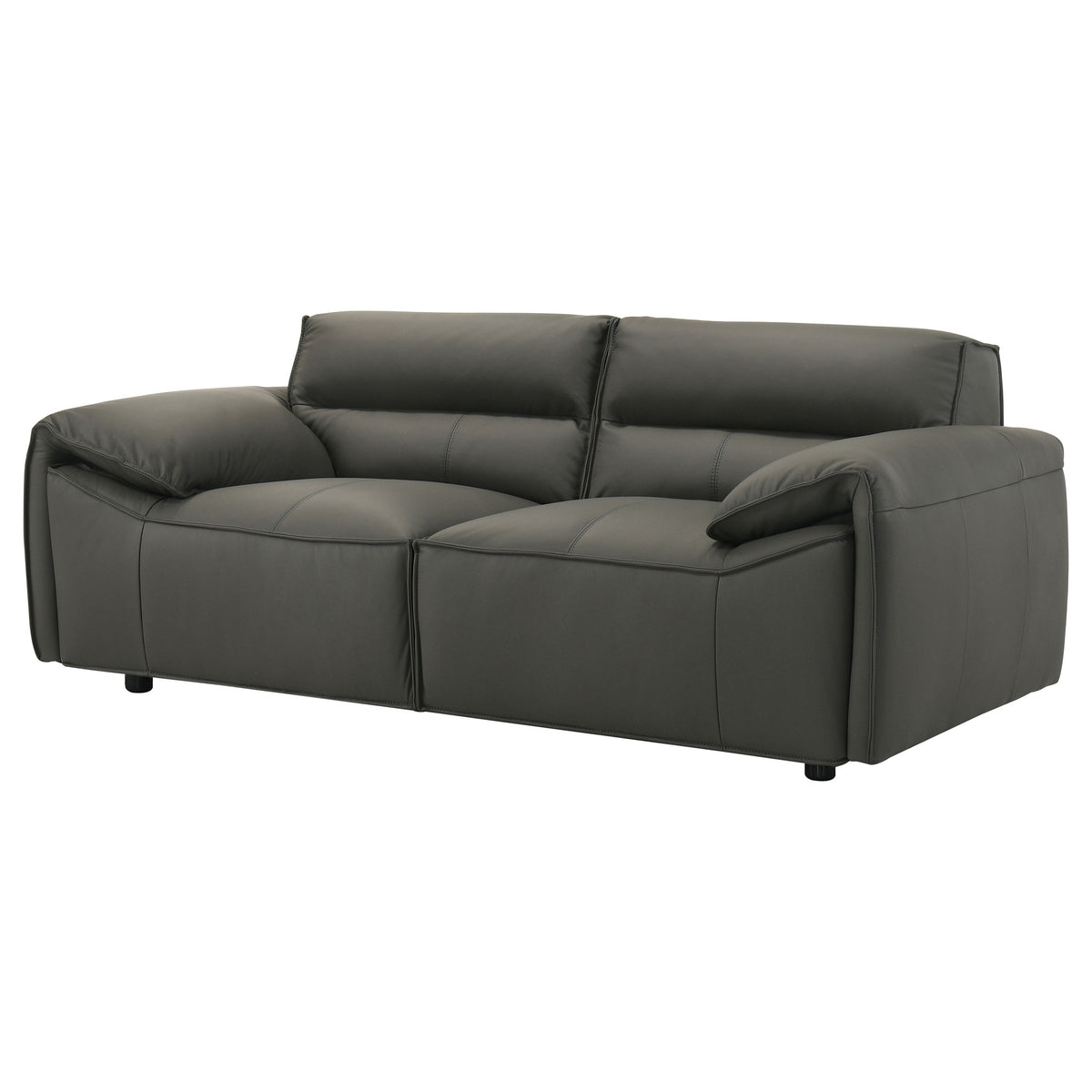 Buxton Top Grain Leather Sofa & Loveseat - Low-Profile Track Arm Design in Graphite – view 18