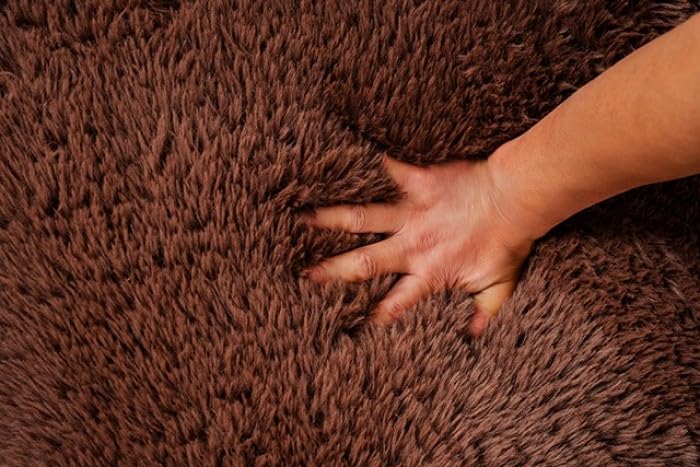 Vander Boneless Barrel Accent Chair in Cedar Brown Faux Fur – view 5