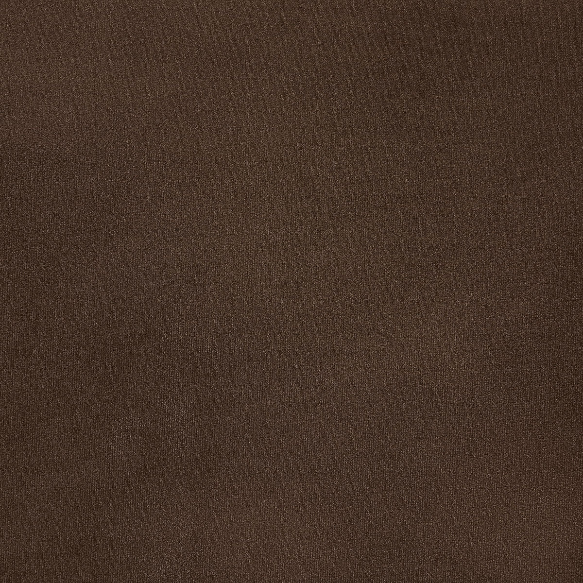 Dinsmore Mid-Century Dining Chairs - front view