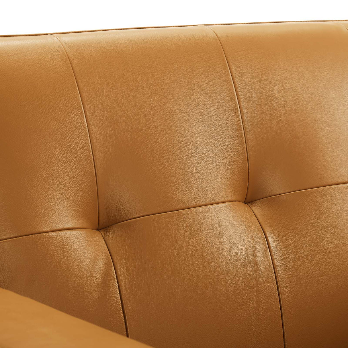 Engage Top-Grain Leather Living Room Lounge Accent Armchair - Mid-Century Modern & Top-Grain Leather