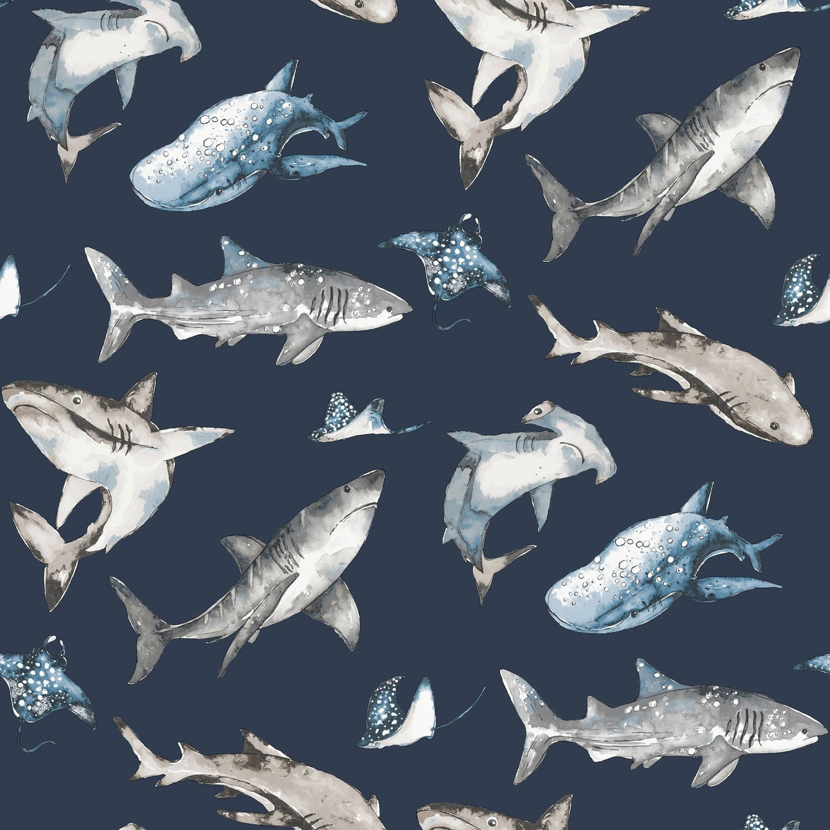 Galerie Kids and Teens Sharks Wallpaper