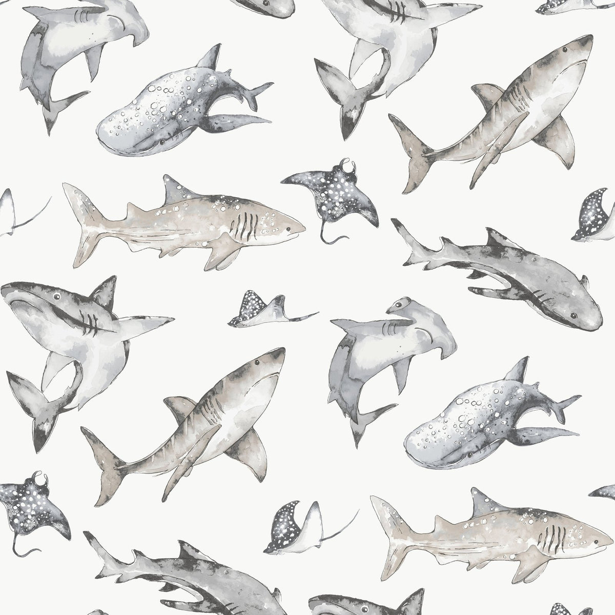 Galerie Kids and Teens Sharks Wallpaper