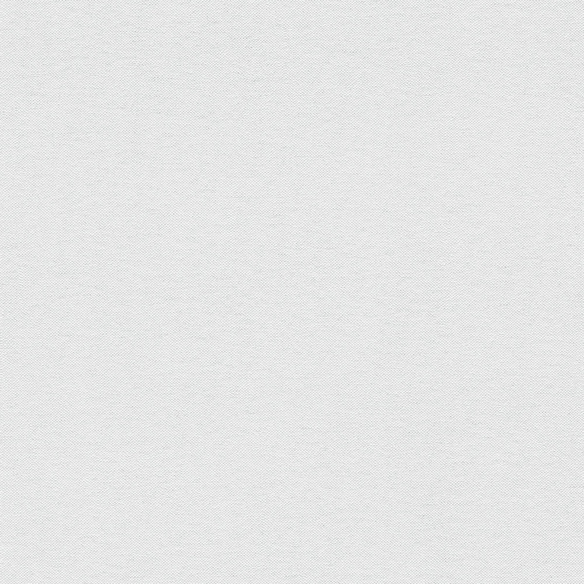 Galerie Hygge Home Plain Texture Wallpaper