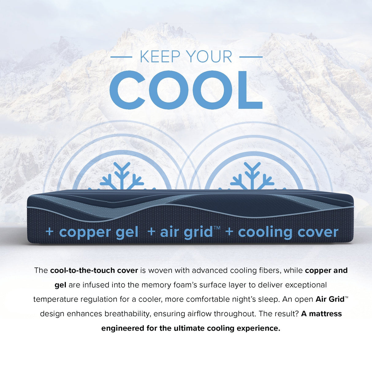 12” ActiveAlign Reactive Copper Zoned Medium Mattress - South Bay