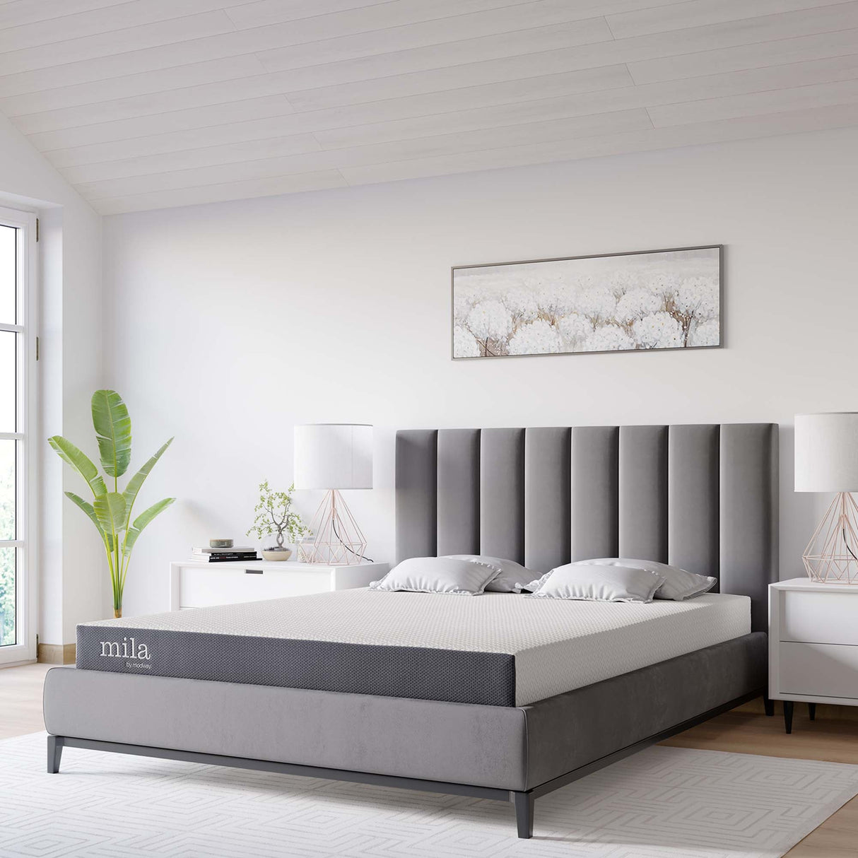 Mila 8" Queen Mattress