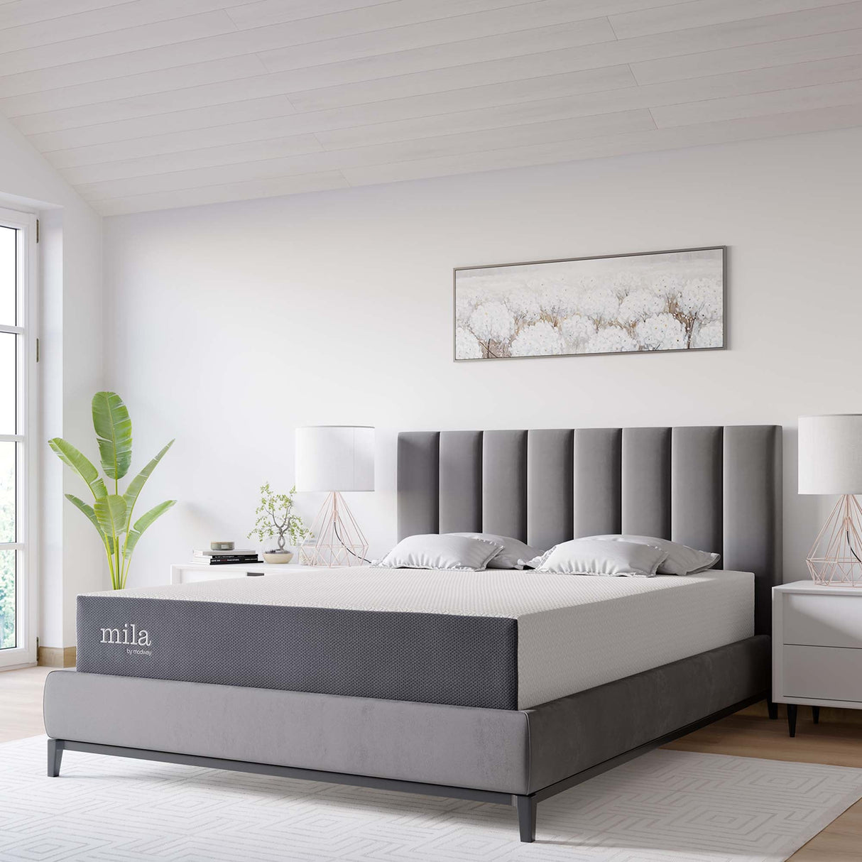 Mila 8" Queen Mattress
