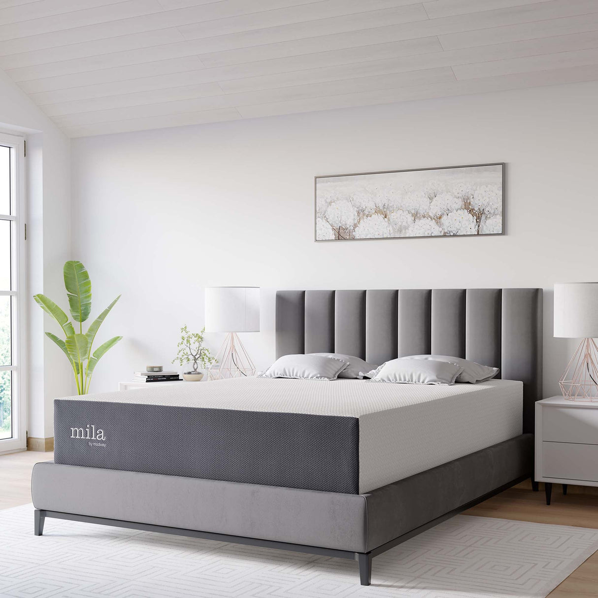 Mila 8" Queen Mattress