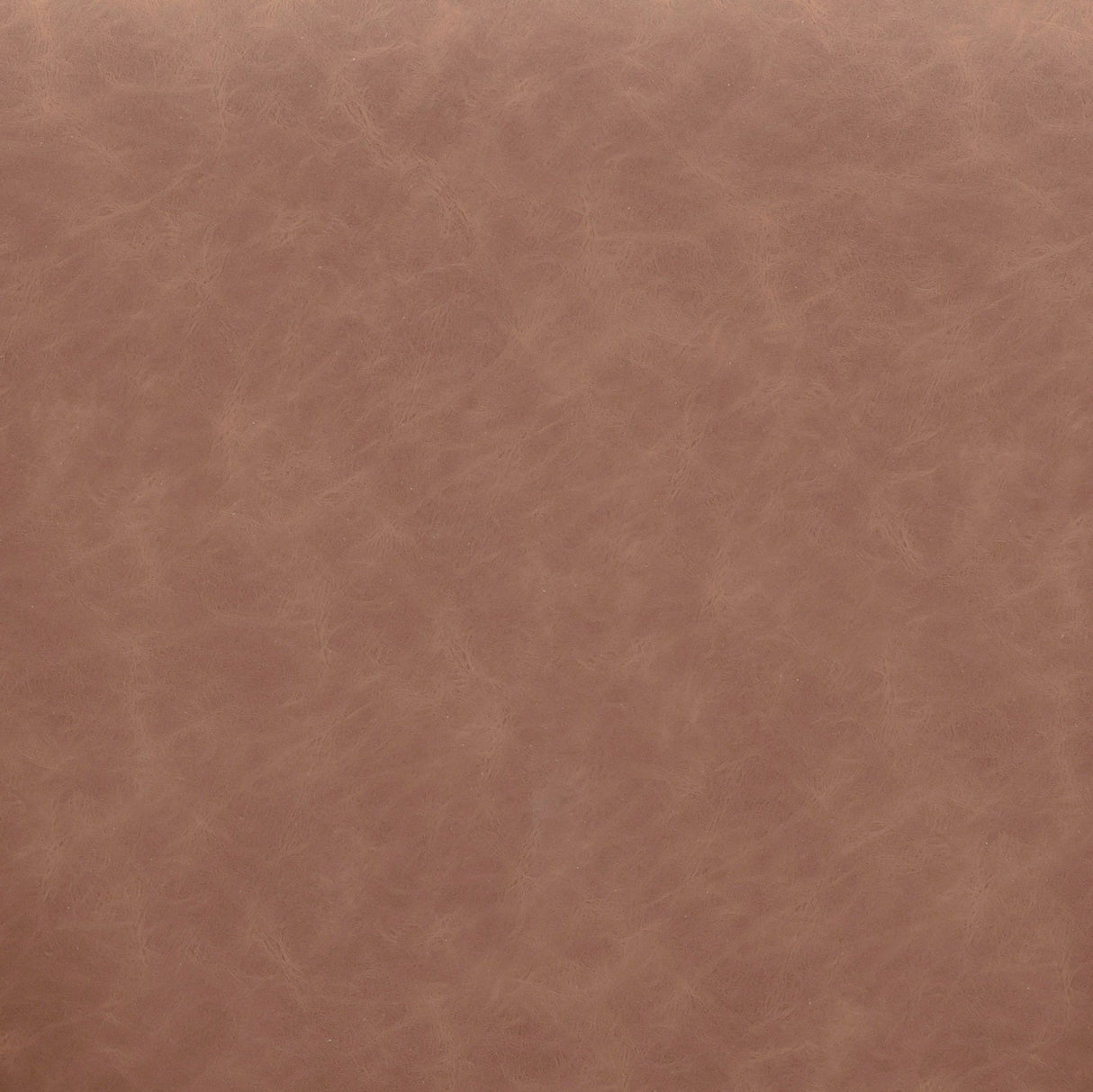 Vina Vegan Leather Dining Chair