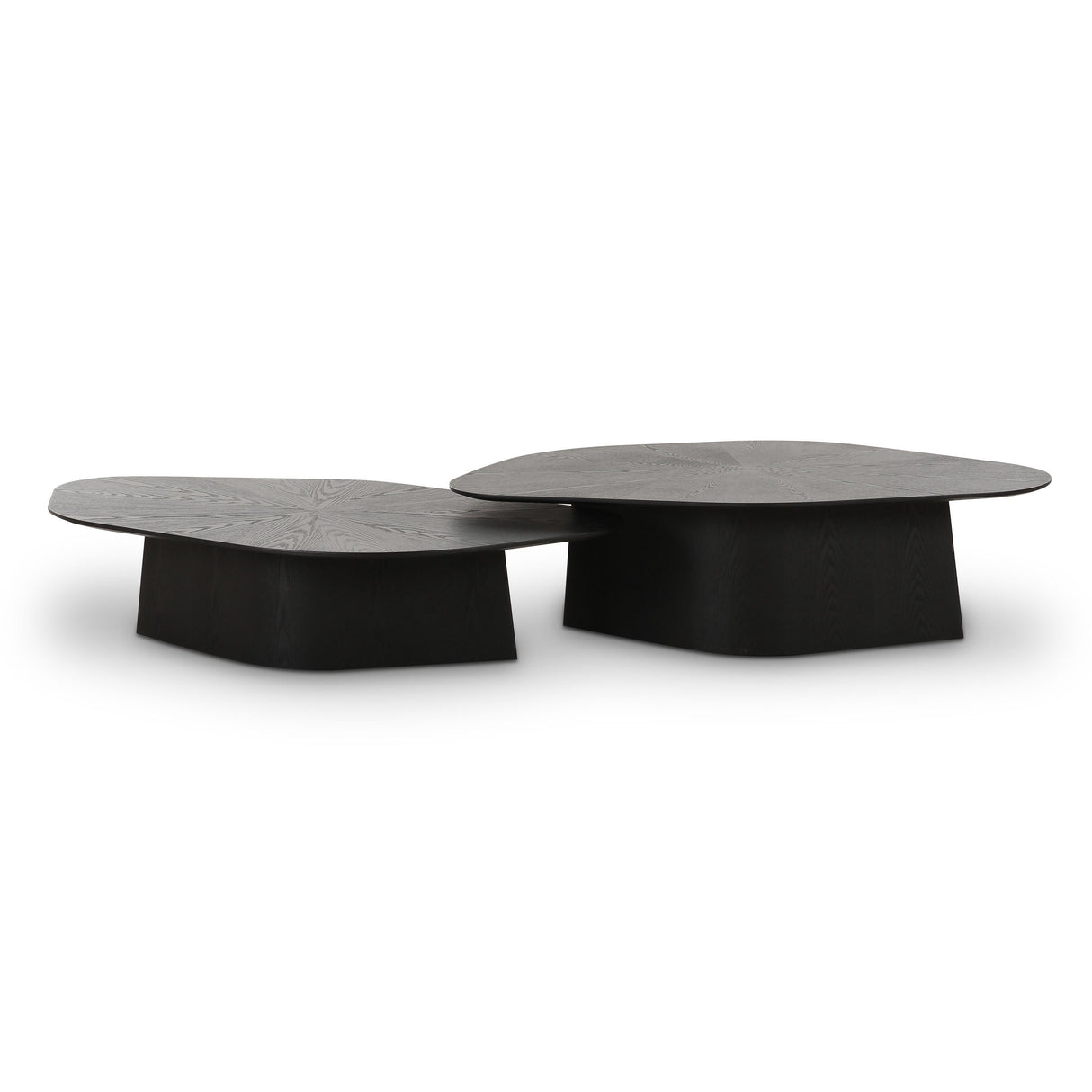 Roche 2-Piece Ash Nesting Coffee Table Set