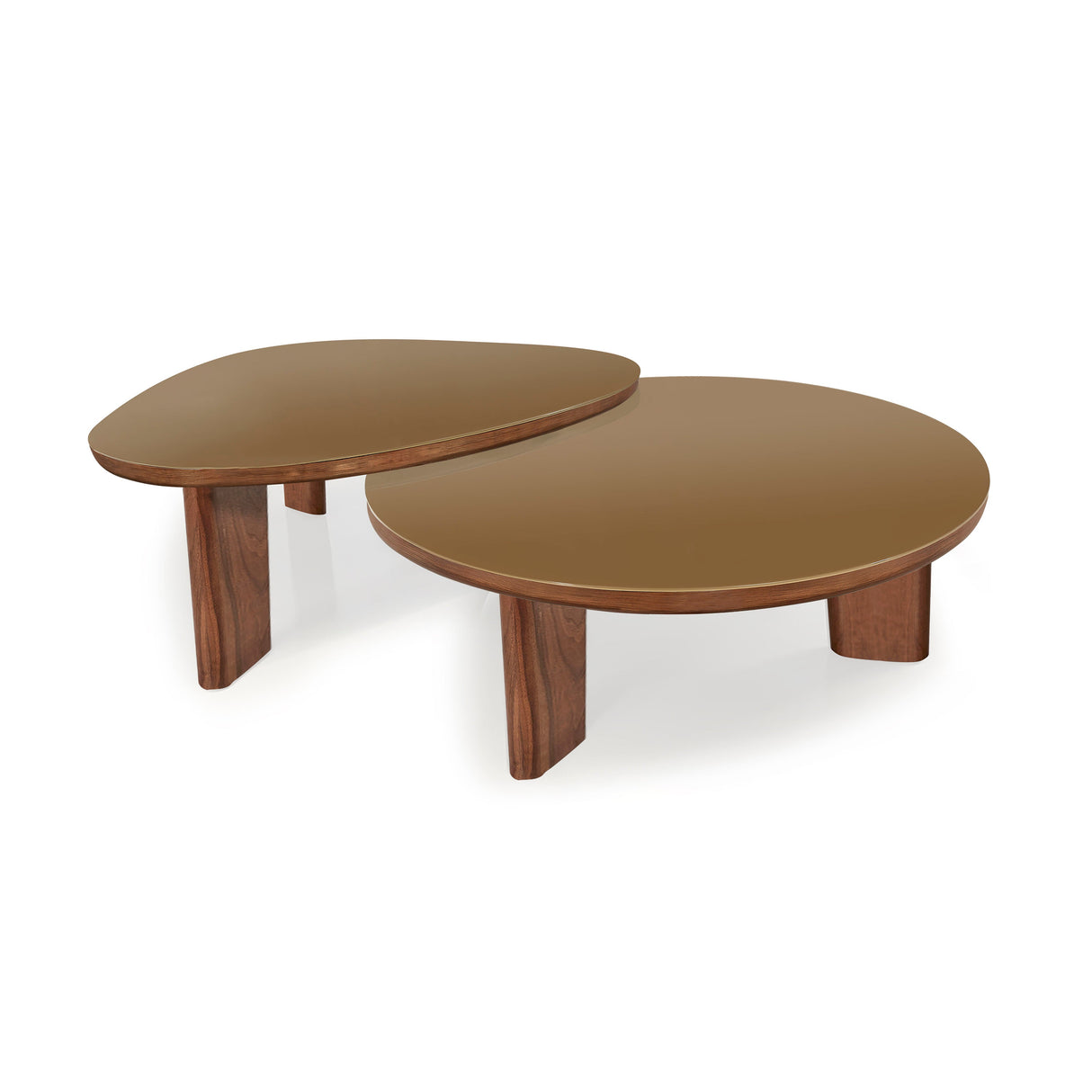 Oani 36" Walnut and Glass Round Coffee Table