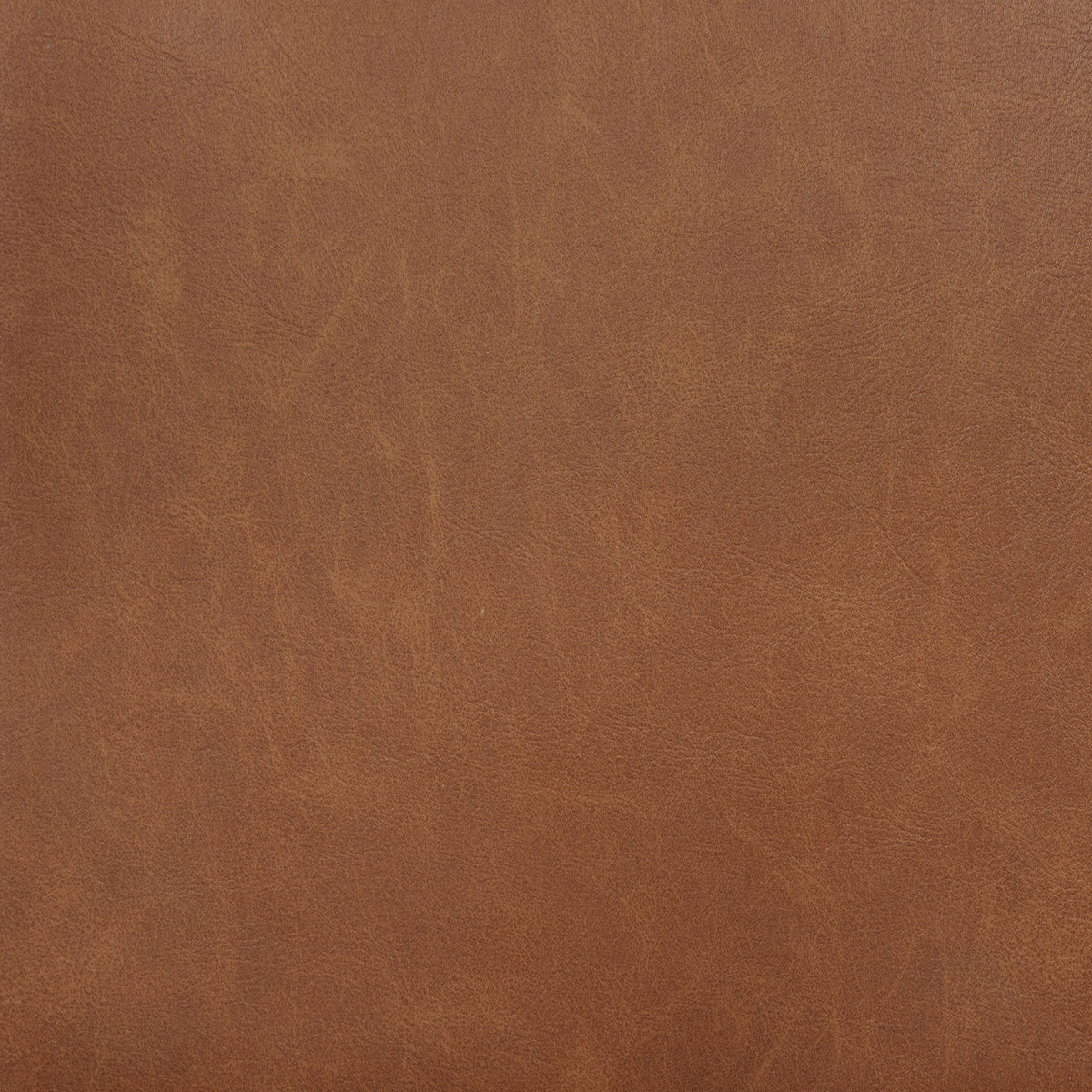 Tegan Faux Leather Dining or Counter Height Chairs, Set of 2 - Cognac with Strap Back & Coffee Bean Wood – view 8