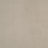 Alana Button-Tufted Dining Side Chairs, Set of 2 - Rolled Top & Nailhead Trim in Sand Velvet or Grey – view 15