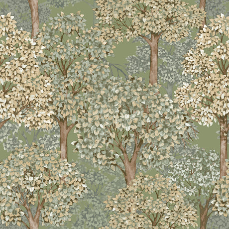 Galerie Little Explorers 2 Wood Wallpaper