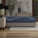 12” ActiveAlign Reactive Copper Zoned Medium Mattress - South Bay