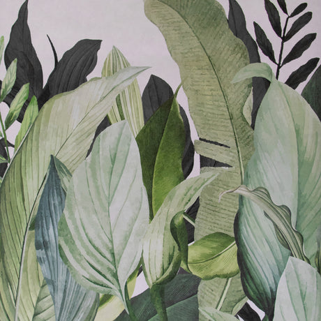Galerie Tropical Tropical Forest Wall Mural