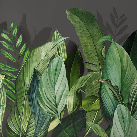 Galerie Tropical Tropical Forest Wall Mural