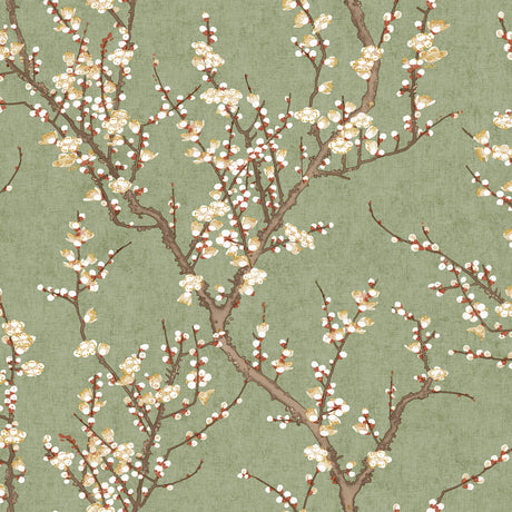 Galerie Spring Blossom Sakura Tree Wallpaper
