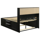 Briana Bookcase Storage Bed & Bedroom Sets - 8 Drawers & Drop-Down Rail Storage in Black, Queen to California King – view 17