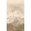 Galerie Orom II Stylish floral all-over Wall Mural