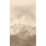 Galerie Orom II Stylish floral all-over Wall Mural