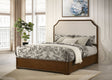 Garland Louis Philippe Panel Bed & Bedroom Sets - Cream Upholstered Headboard in Brown Cherry, Queen or Eastern King – view 1