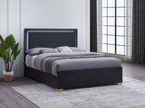 Marceline LED Panel Bed & Bedroom Sets - Contemporary Black with Gold Art Deco Accents, Twin to Eastern King - lifestyle
