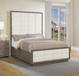 Durango Tufted Upholstered Panel Bed & Bedroom Sets - 80" Headboard in Taupe Oak & Cream, Queen to California King – view 1