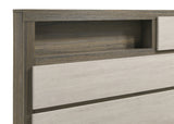 Fenwick Bookcase Bed & Bedroom Sets - Two-Tone Grey Oak with Hidden Storage, Queen to California King