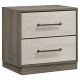Fenwick Bookcase Bed & Bedroom Sets - 2-Drawer Nightstand