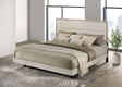 Trenton Floating Panel Bed & Bedroom Sets - Boucle Upholstered Headboard in Rustic Cream, Twin to Eastern King - lifestyle