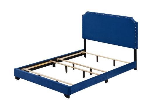 Haemon Upholstered Queen Bed - Nailhead Trim Headboard in Blue Velvet