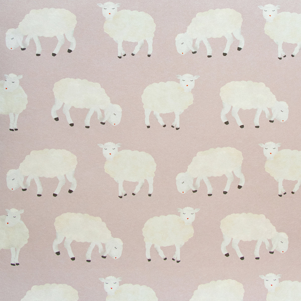 Galerie Great Kids Sweet Sheep Wallpaper