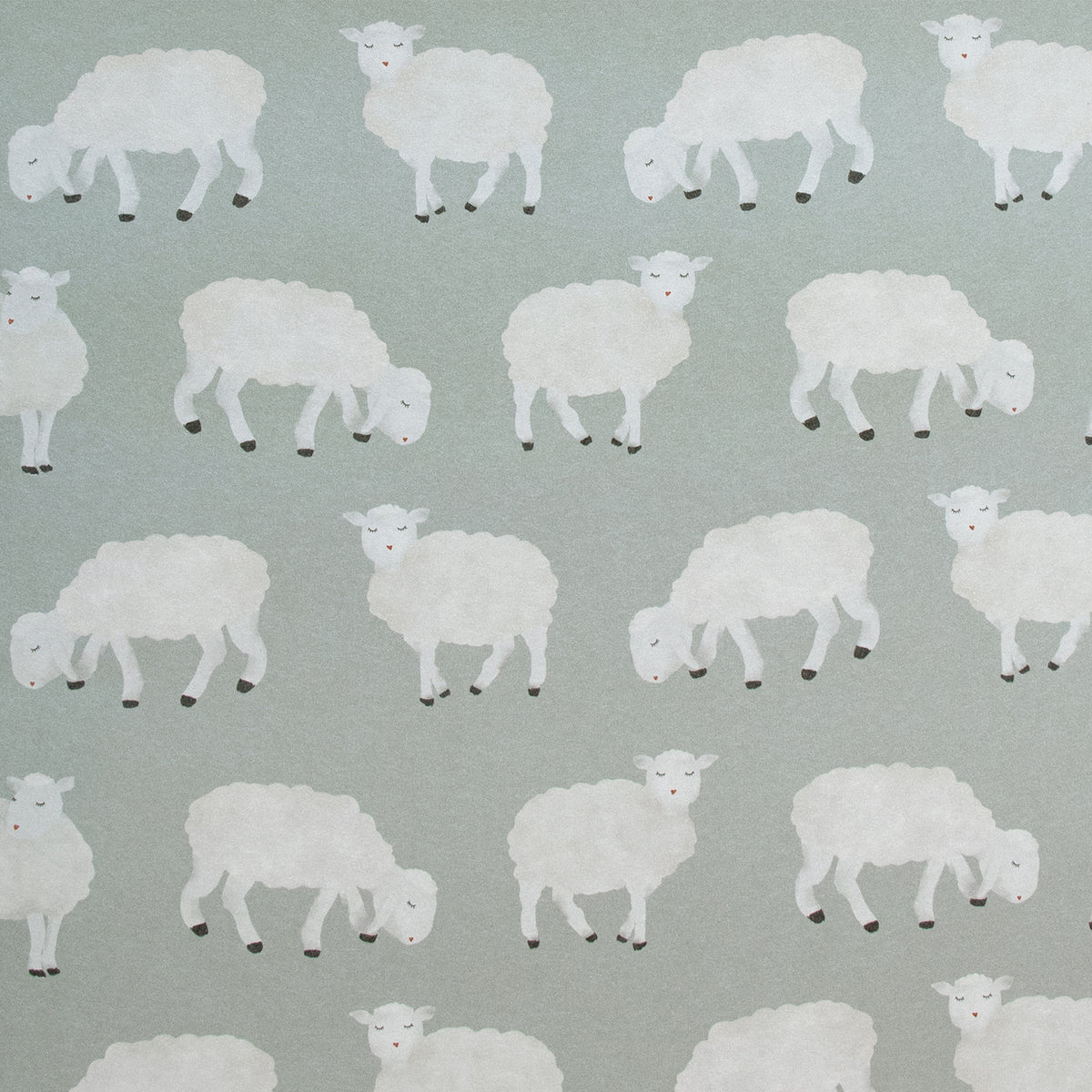 Galerie Great Kids Sweet Sheep Wallpaper