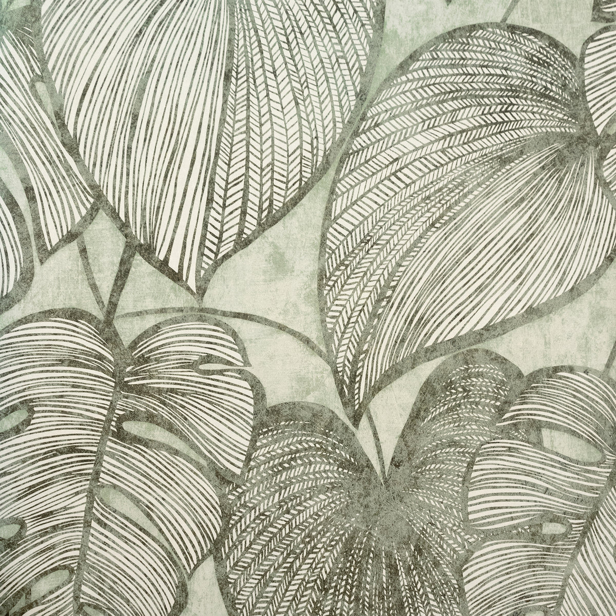 Galerie Julie Feels Home Monstera Wallpaper