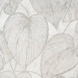 Galerie Julie Feels Home Monstera Wallpaper