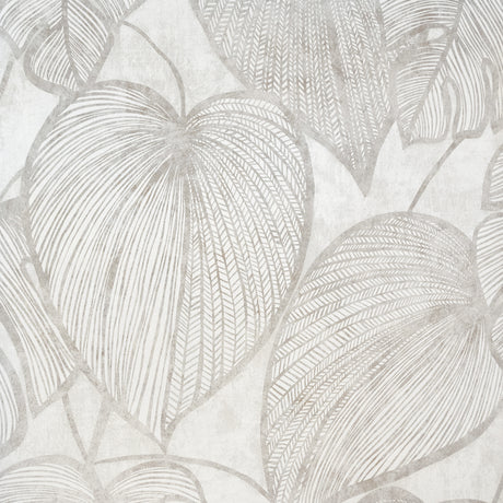Galerie Julie Feels Home Monstera Wallpaper