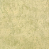 Galerie Julie Feels Home Monstera Plain Wallpaper
