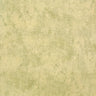 Galerie Julie Feels Home Monstera Plain Wallpaper